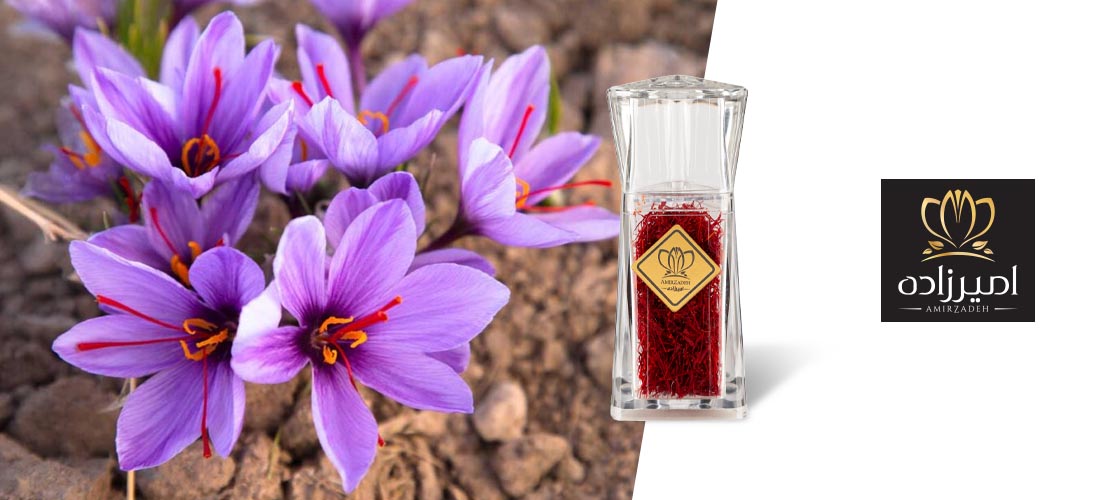 فوابد زعفران برای اعصاب و روان