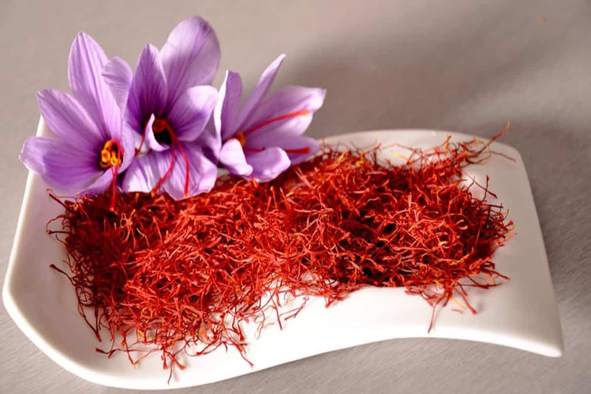خرید زعفران و عوامل موثر بر قیمت زعفران