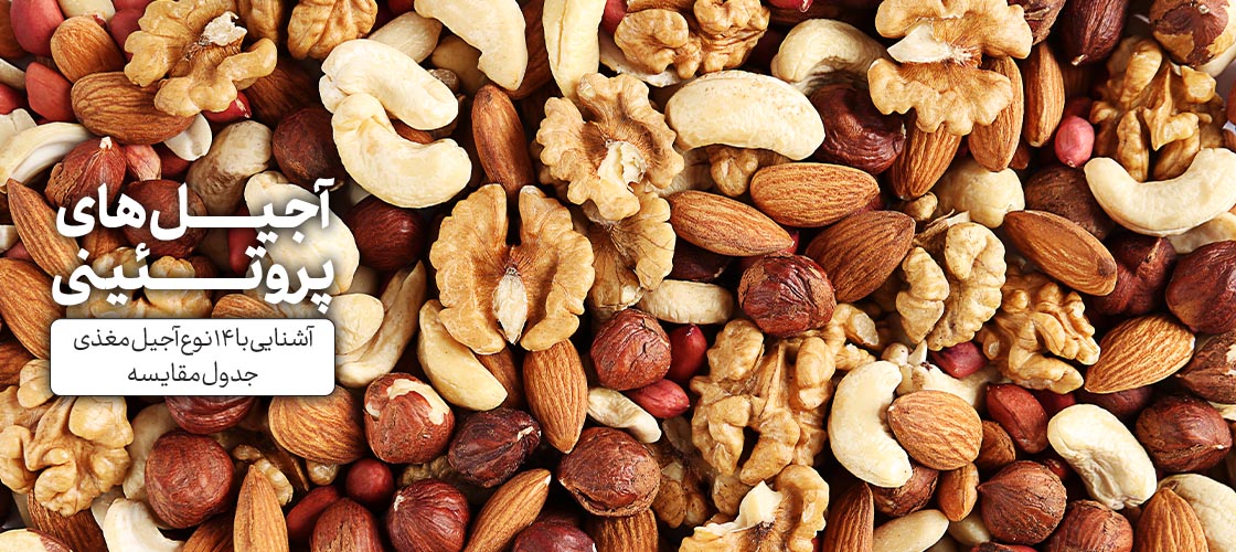 آجیلهای پروتئینی