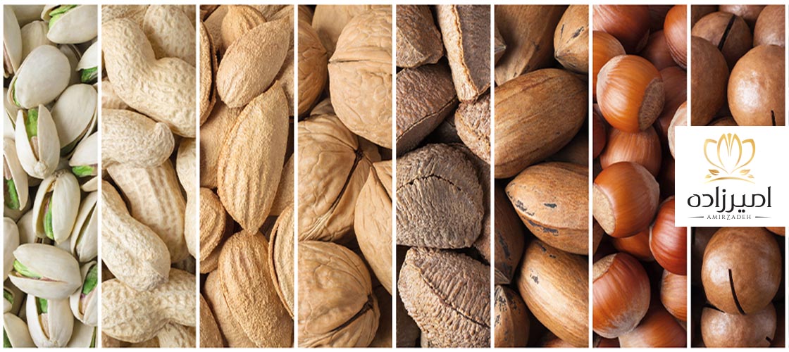 آجیل های با مغز پروتئینی