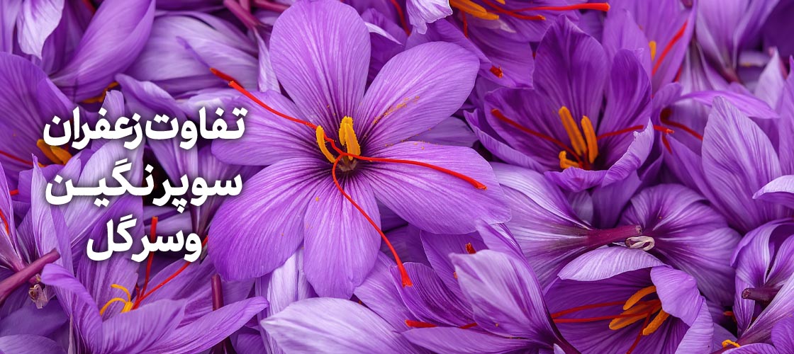 تفاوت زعفران سرگل و سوپرنگین