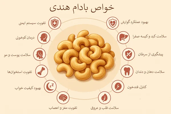 انواع خواص بادام هندی برای سلامت بدن