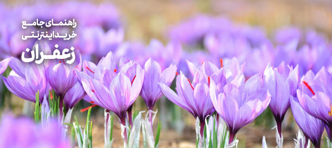 راهنمای جامع خرید اینترنتی زعفران