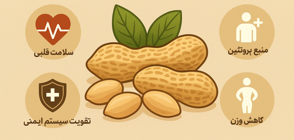 فواید بادام زمینی برای سلامتی