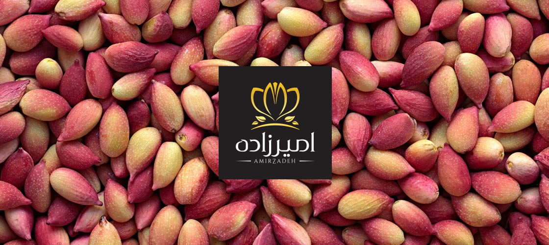 خرید عمده پسته تازه از بزرگ ترین مزرعه دار