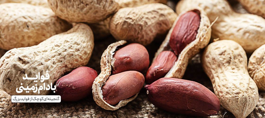 فواید بادام زمینی