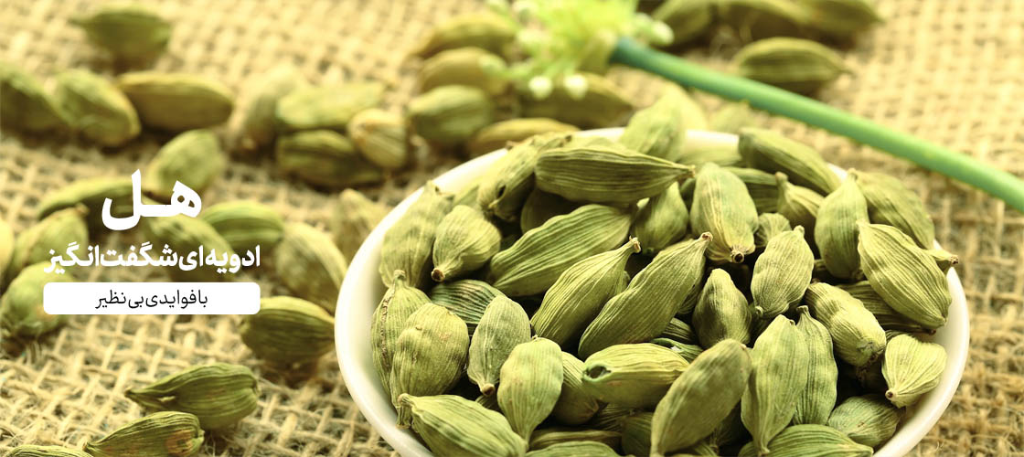 هل، ادویه شگفتانگیز با فواید بینظیر