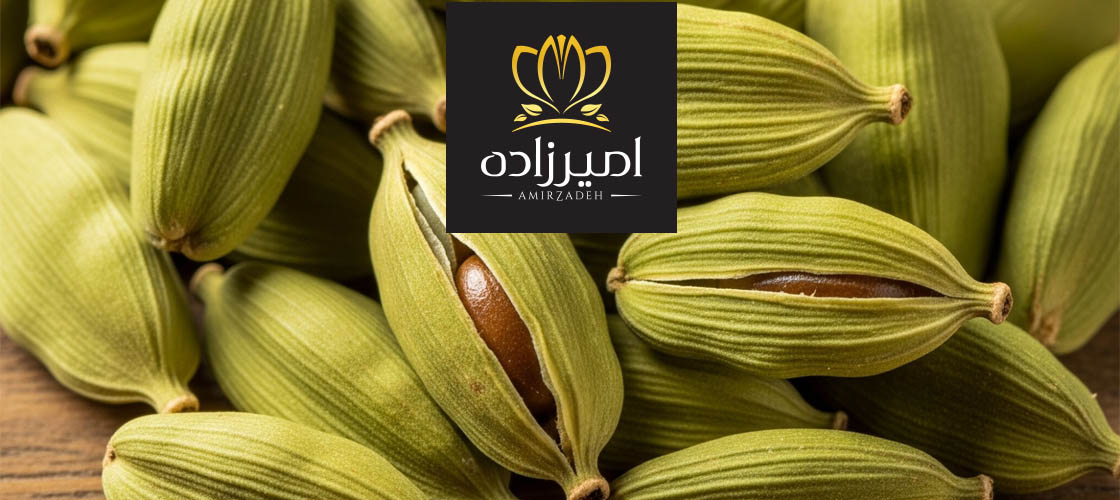 کاربرد های هل در آشپزی