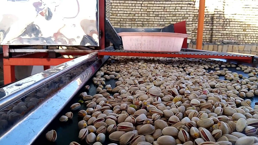 ترمینال ضبط پسته و سایت خرید پسته