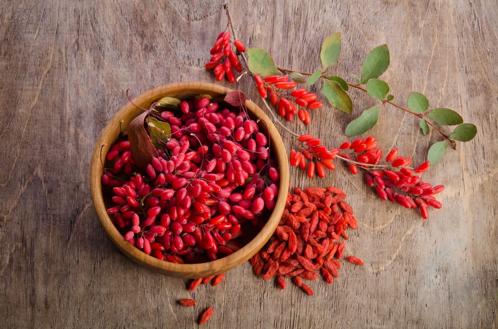 خواص شگفتانگیز زرشک